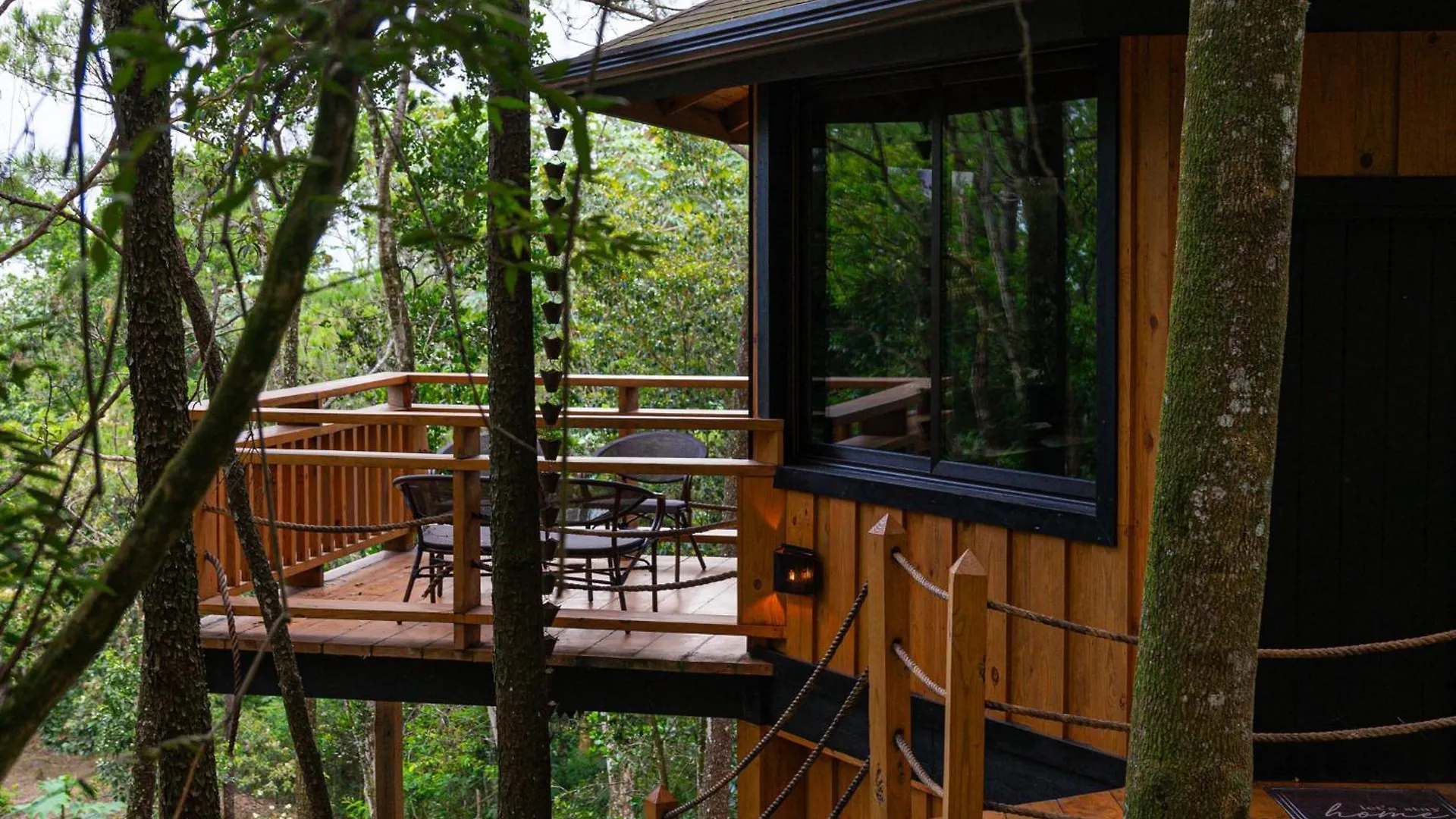 The Grand Forest Jarabacoa