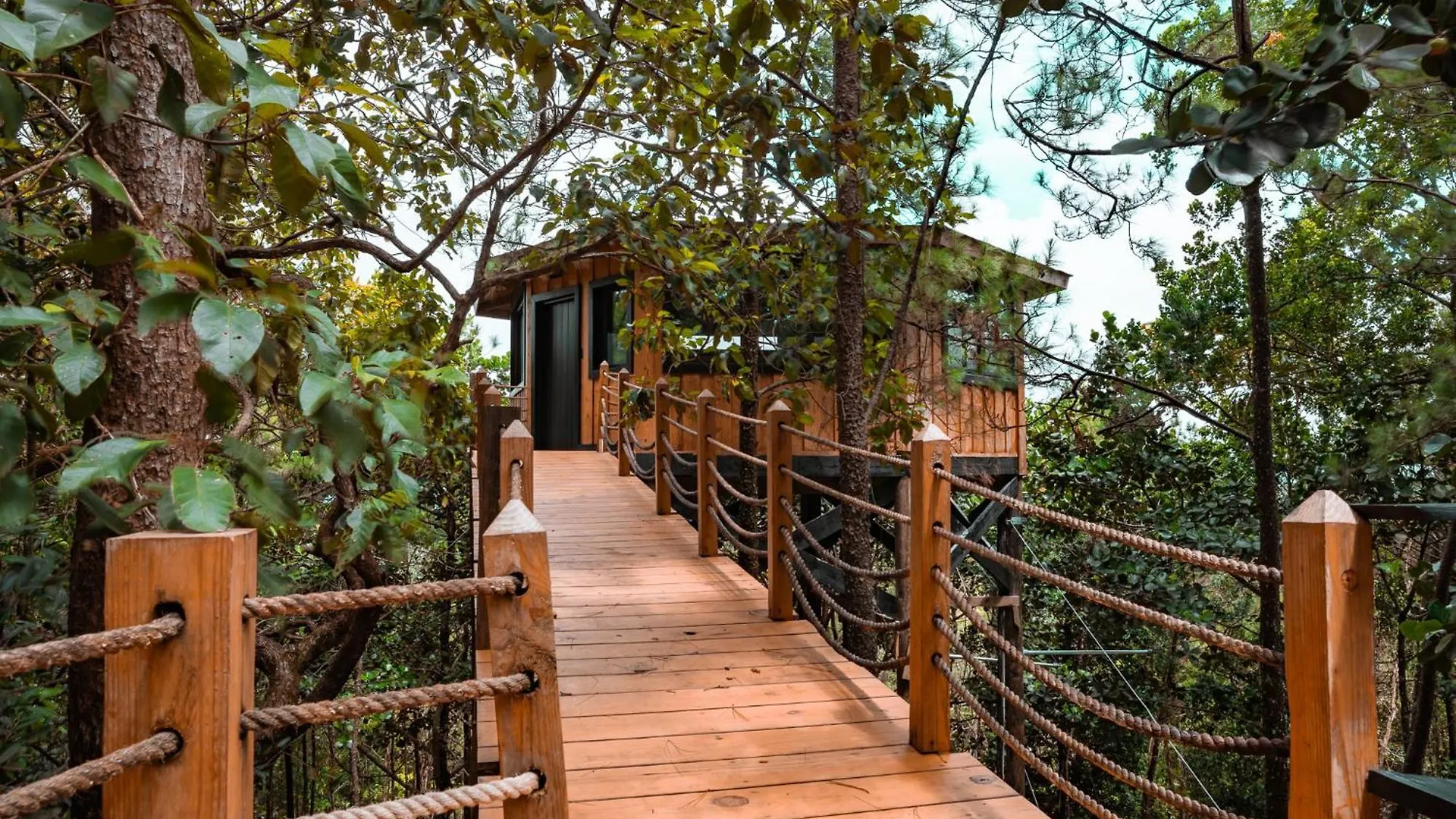 The Grand Forest Jarabacoa